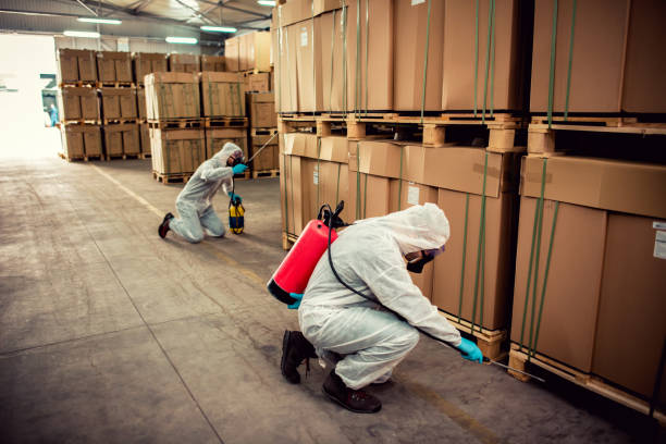 Best Bed Bug Extermination  in Lawrenceville, GA