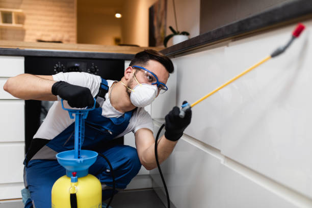 Best Best Pest Control Companies  in Lawrenceville, GA