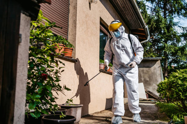 Best Residential Pest Control  in Lawrenceville, GA