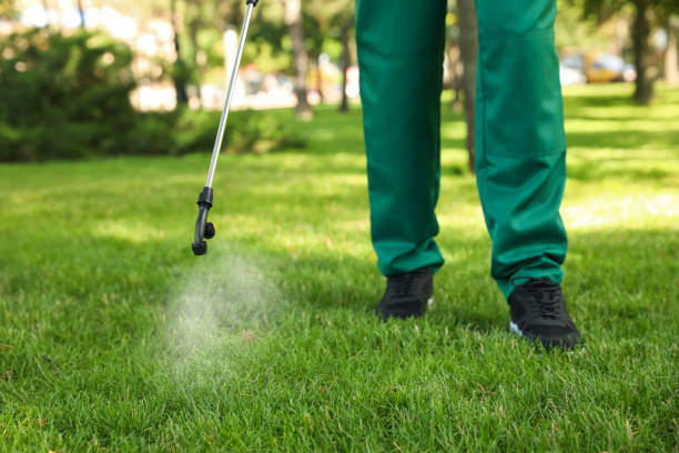 Reliable Lawrenceville, GA Pest Control Solutions