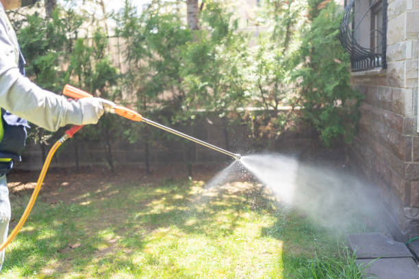 Wasp Removal Services in Lawrenceville, GA
