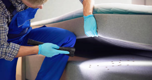 Best Best Pest Control Near Me  in Lawrenceville, GA