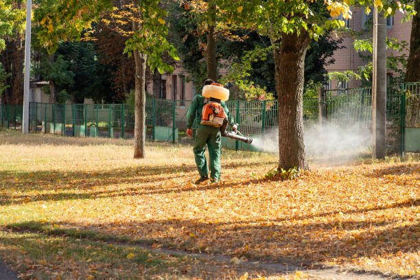 Best Bird Control  in Lawrenceville, GA