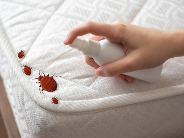 Best Best Pest Control Companies  in Lawrenceville, GA