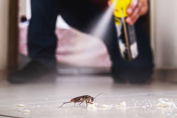 Best Commercial Pest Control Services  in Lawrenceville, GA