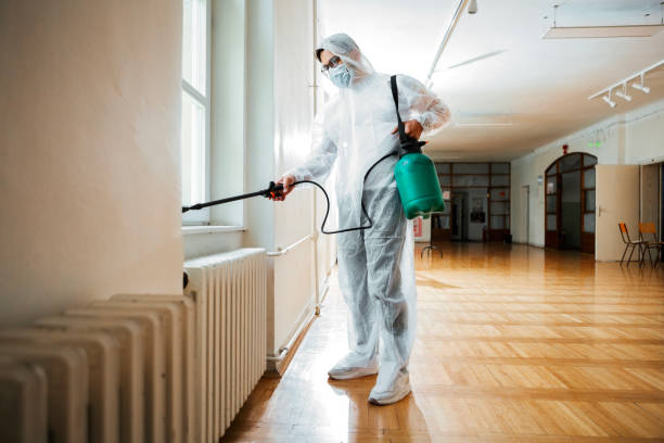 Best Local Pest Control Services  in Lawrenceville, GA