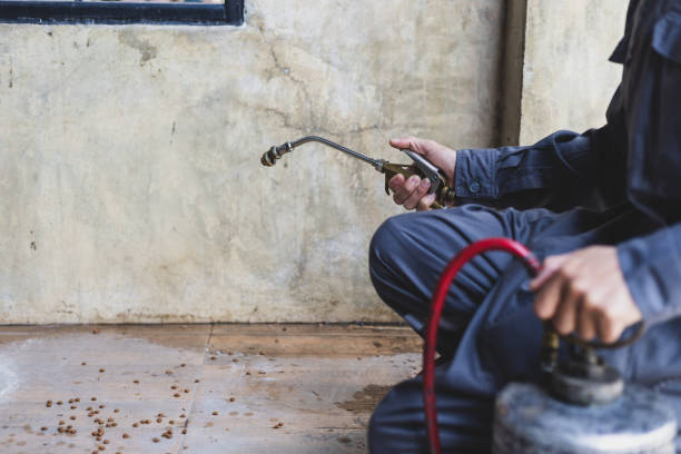 Best Ant Control Services  in Lawrenceville, GA